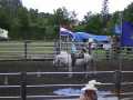 Rodeo_am_050604 025