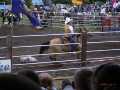 Rodeo_am_050604 063